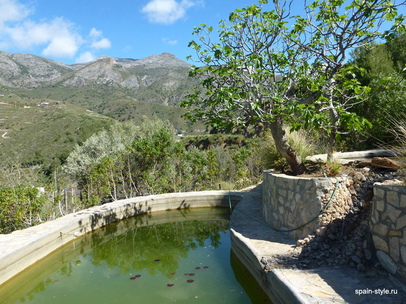 Itwo artificial ponds for water.