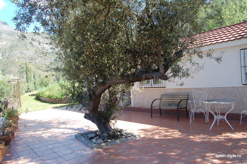 Terrace, Small country house in the mountain in  Nerja 