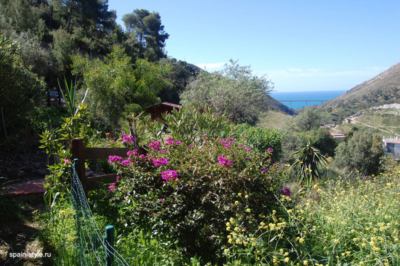 Views to the sea and the garden