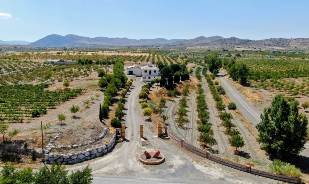 Finca with vineyards in Granada