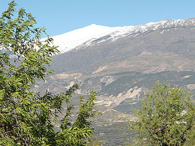 Сад с видом на долину и горы Сьерра Невада