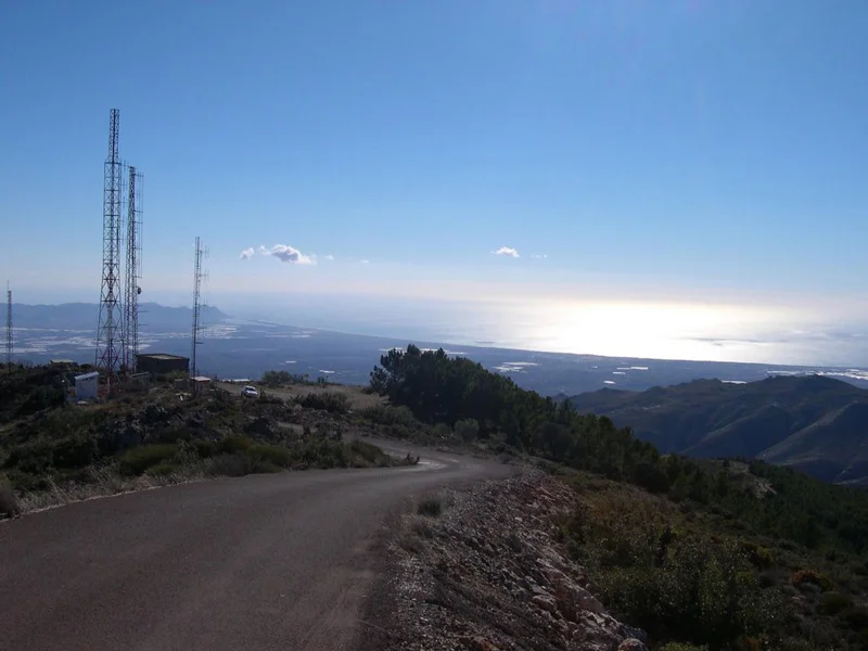 Pico Colativí