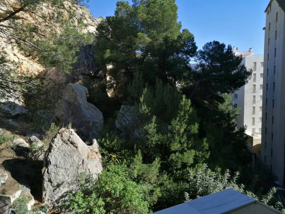 Vistas