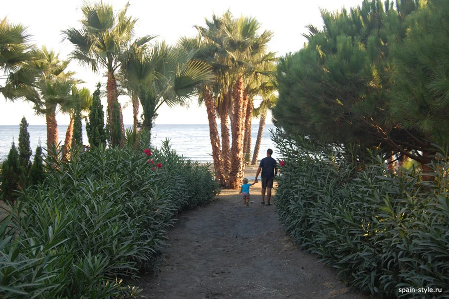 Camino a la playa