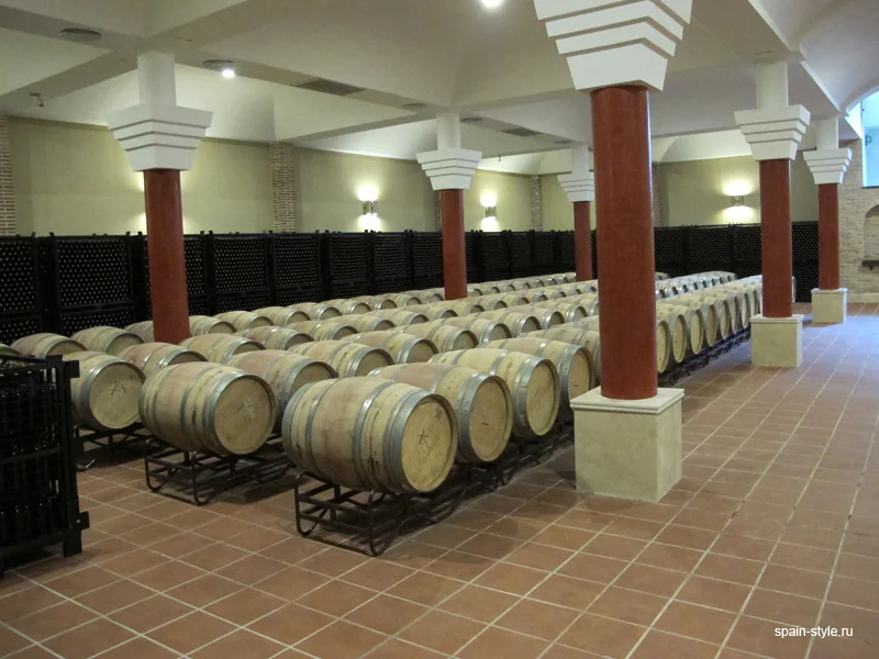 Bodega