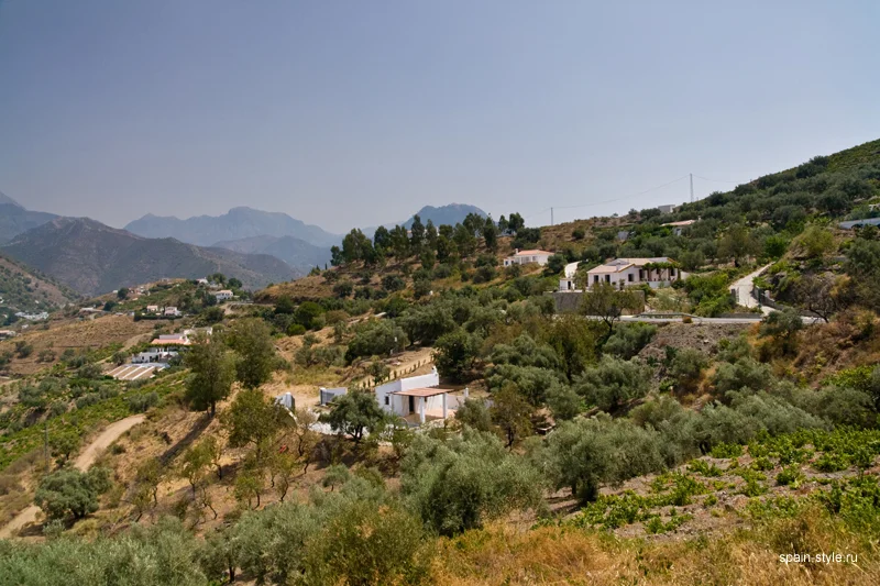 Vistas a la montaña