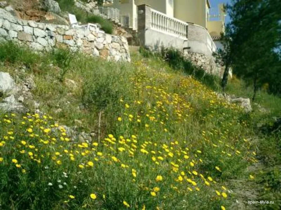 Флора