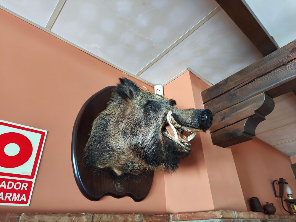 Элементы охотничьего декора