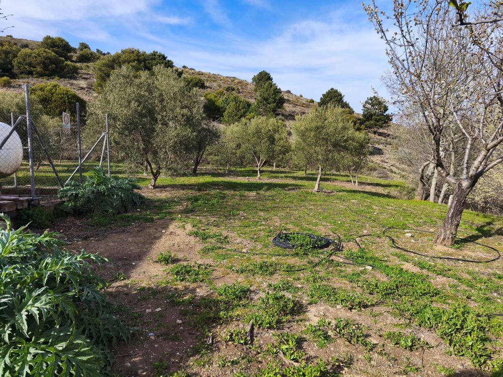 Сад вокруг отеля