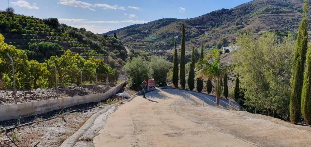 El camino a casa