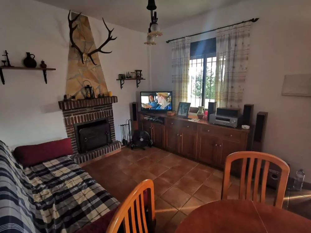 Salón con chimenea