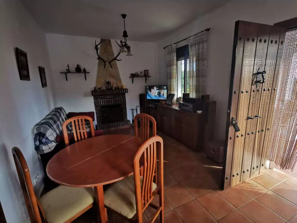 Salón con chimenea