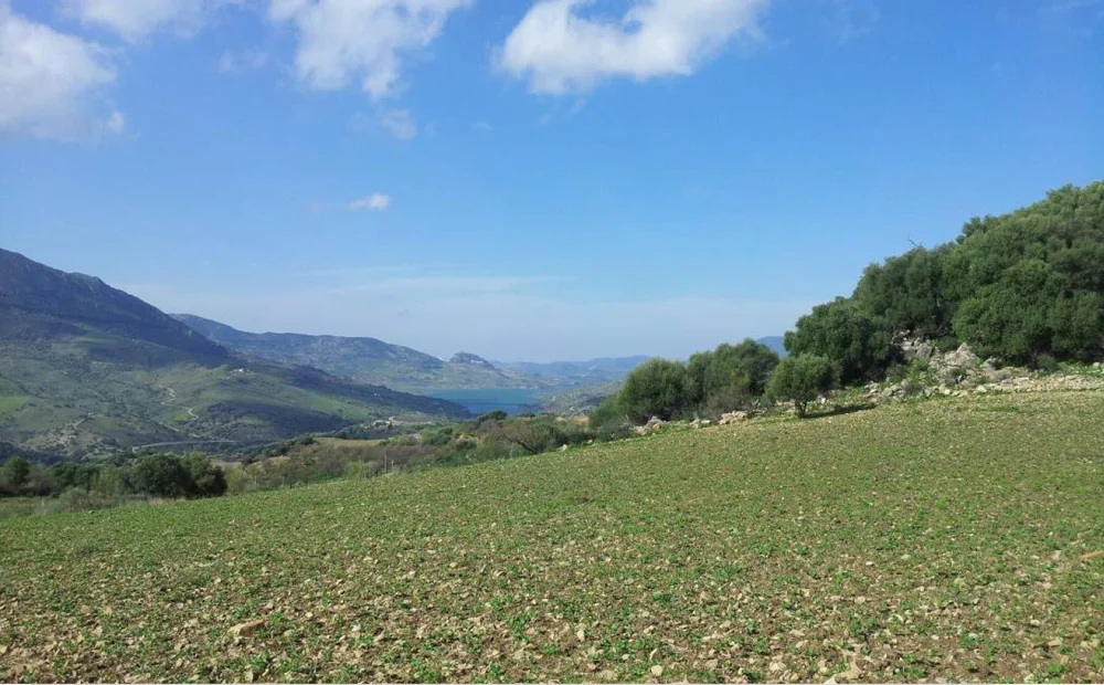 Vista 
