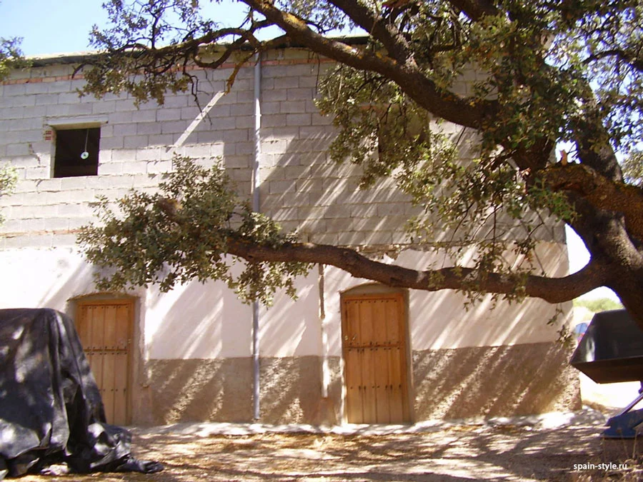 Finca