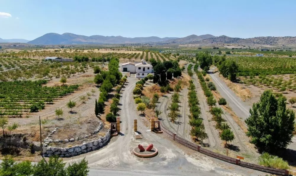 Finca con viñedos
