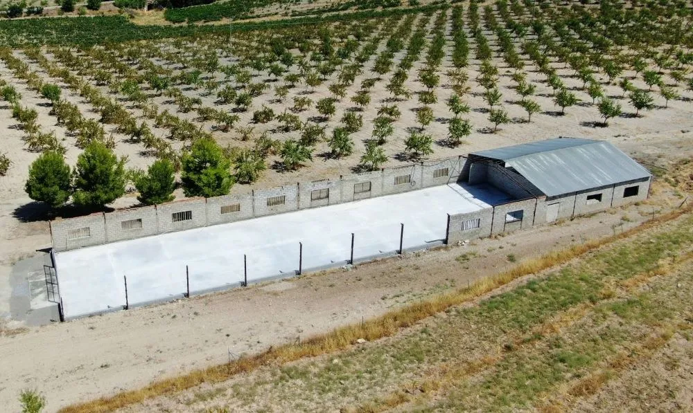 Finca con viñedos