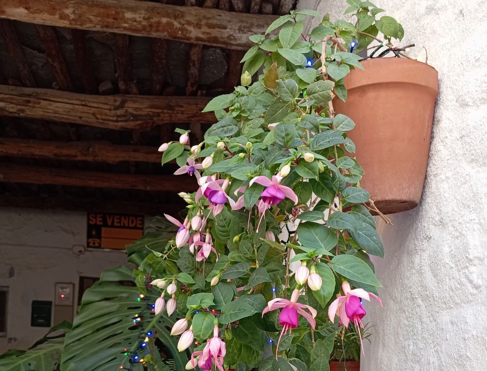 Белые деревни Альпухарры