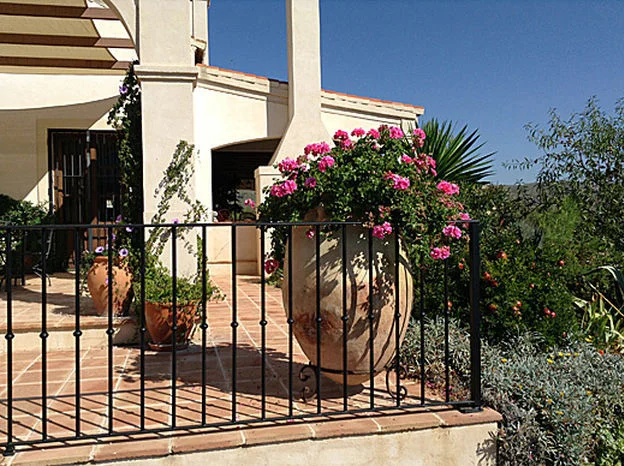 Terraza