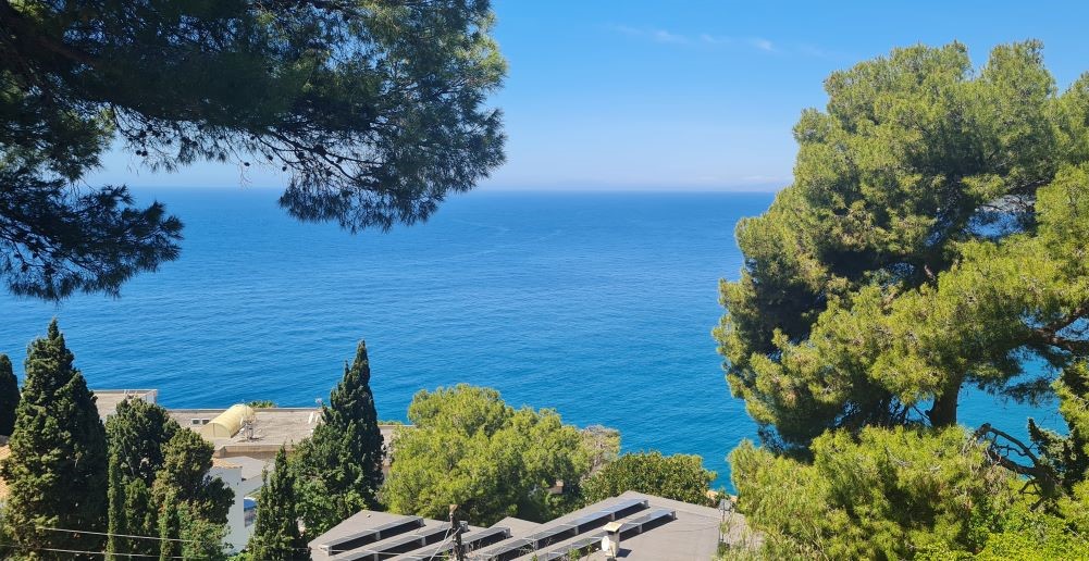 Seaview Villa surrounded by tall pine trees. 